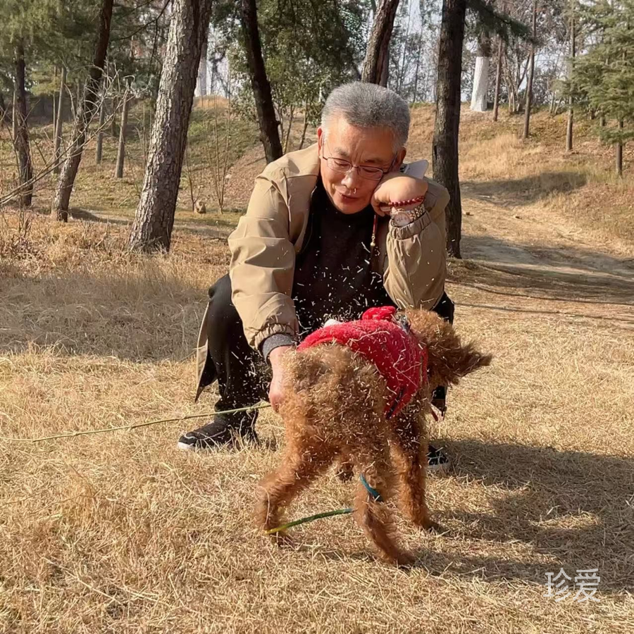 我心依然