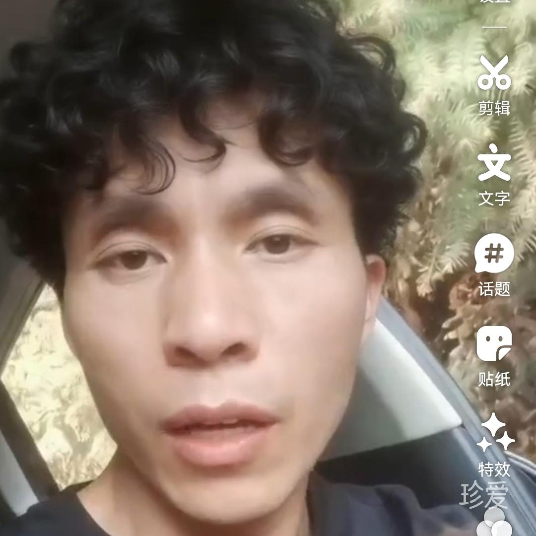 绿色植物