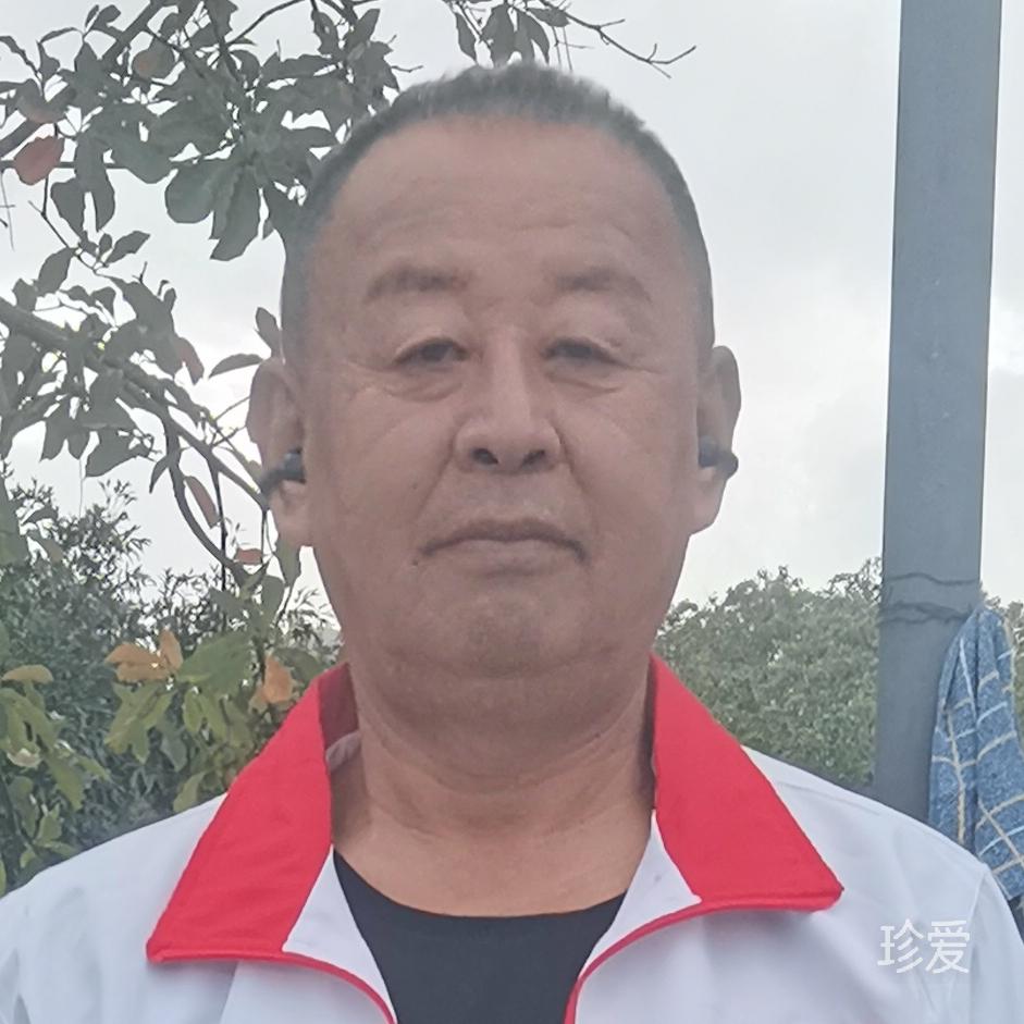 文伐武攻