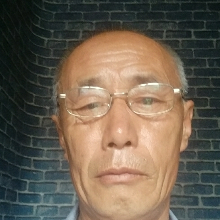 枫树
