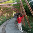 太陽(yáng)花