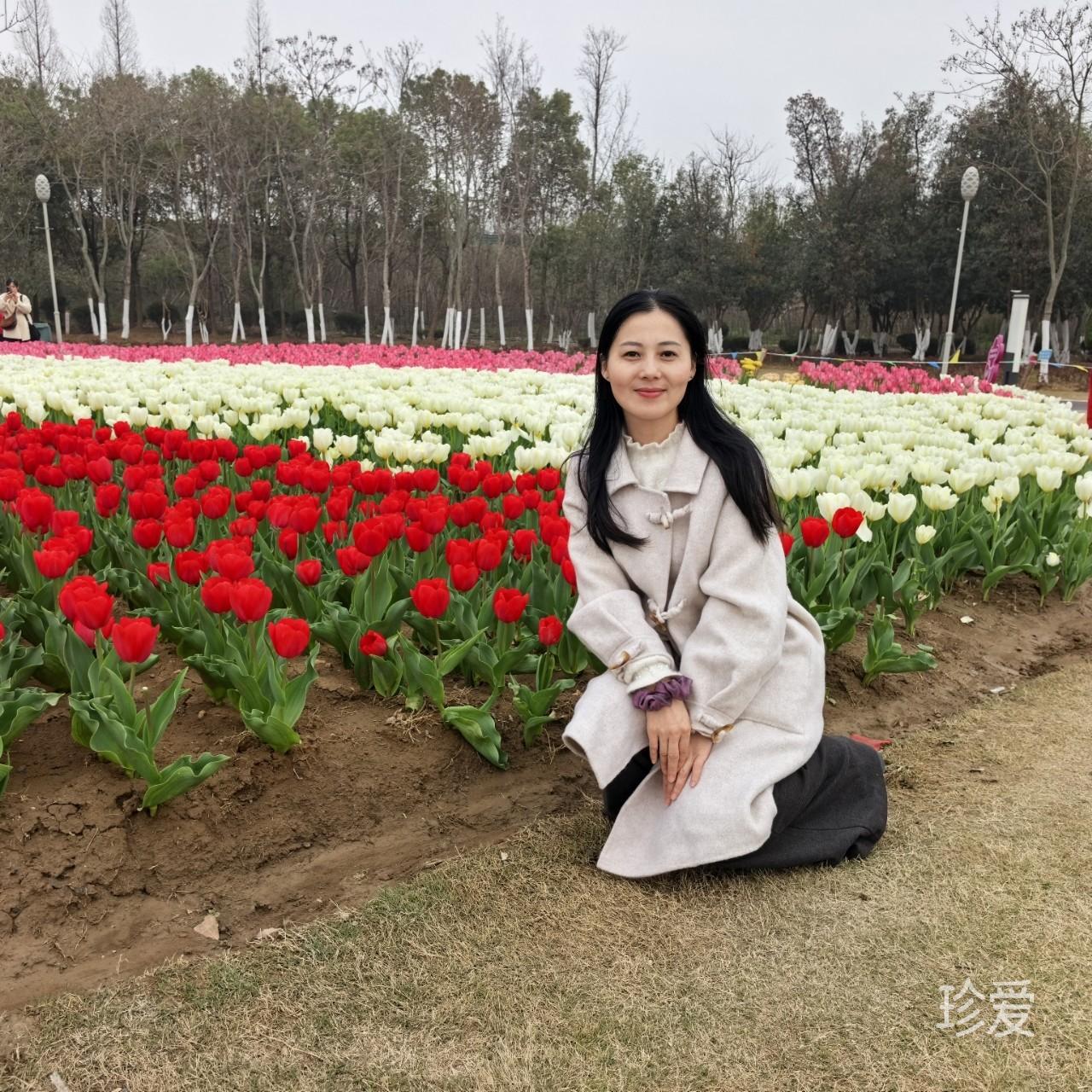 小老虎