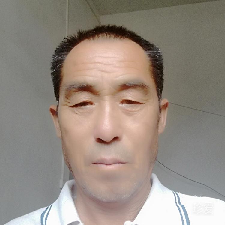 聊天也行找伴更好