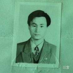 天堂鸟