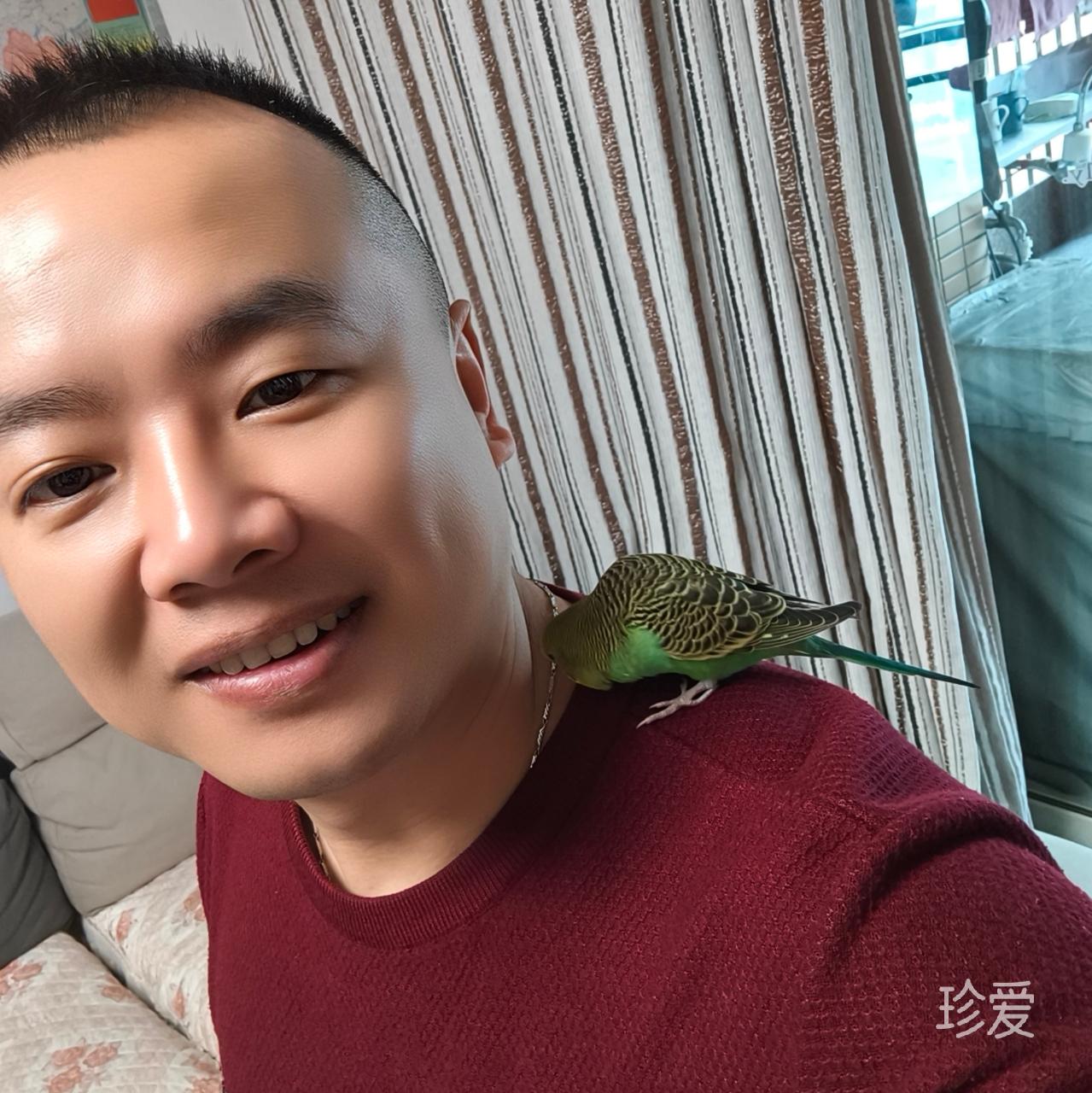 爱土豆条的干辣椒