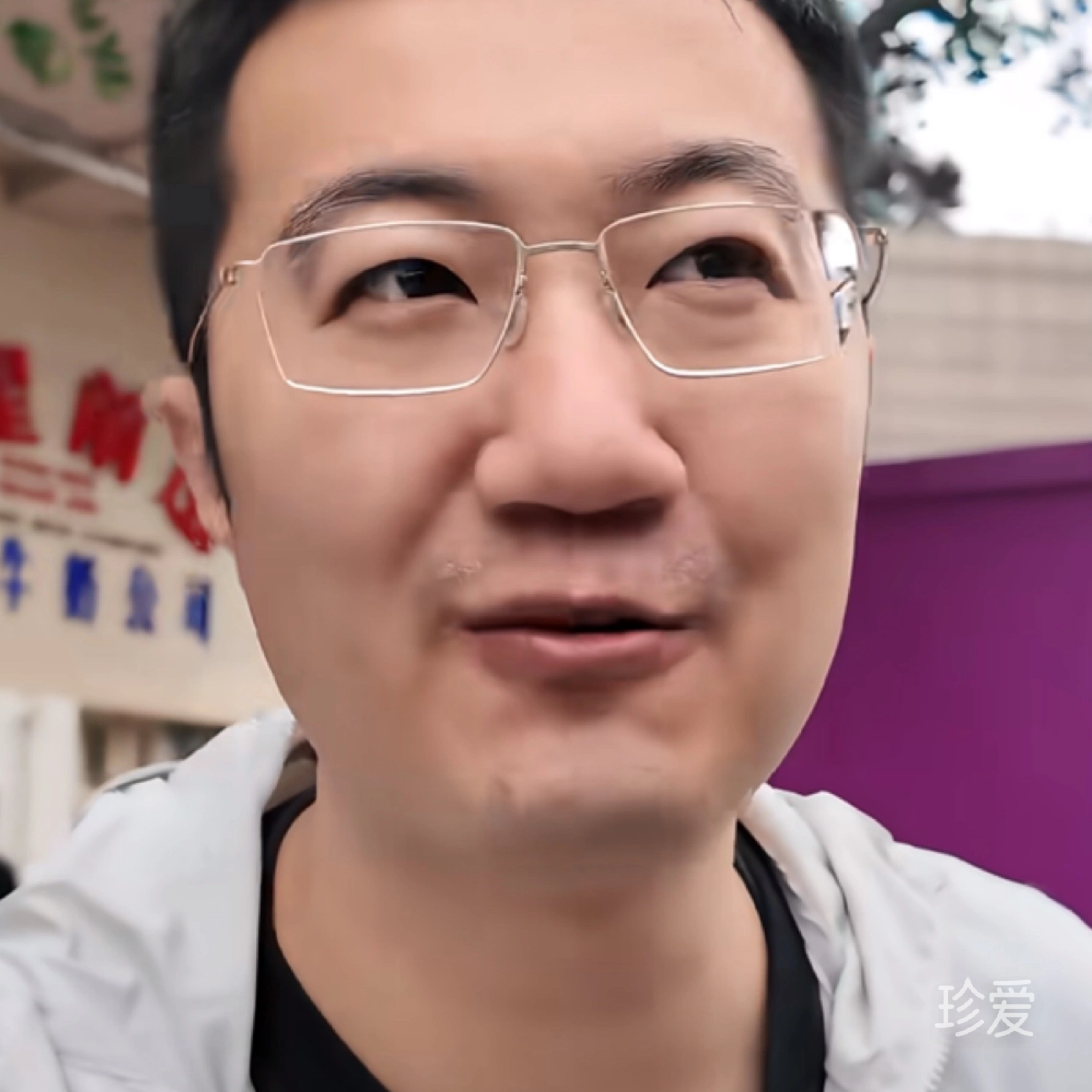 雁归来