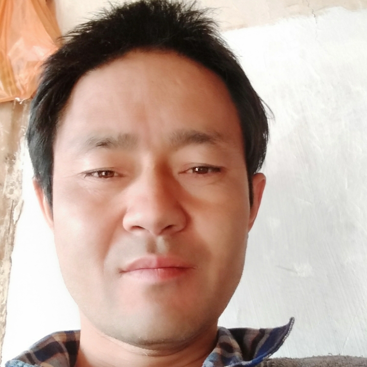 我的她你在哪里