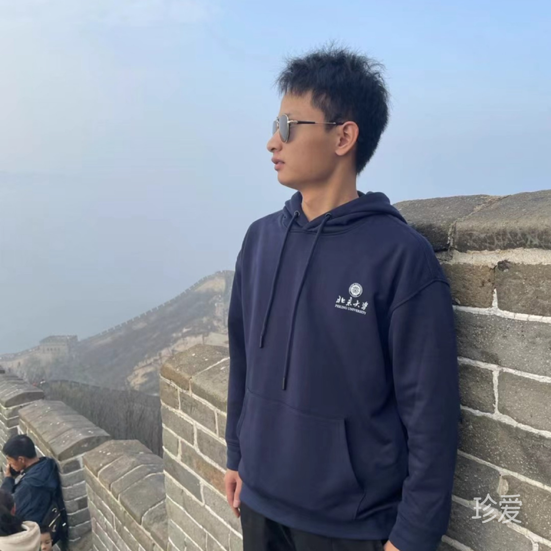 特立独行的牛