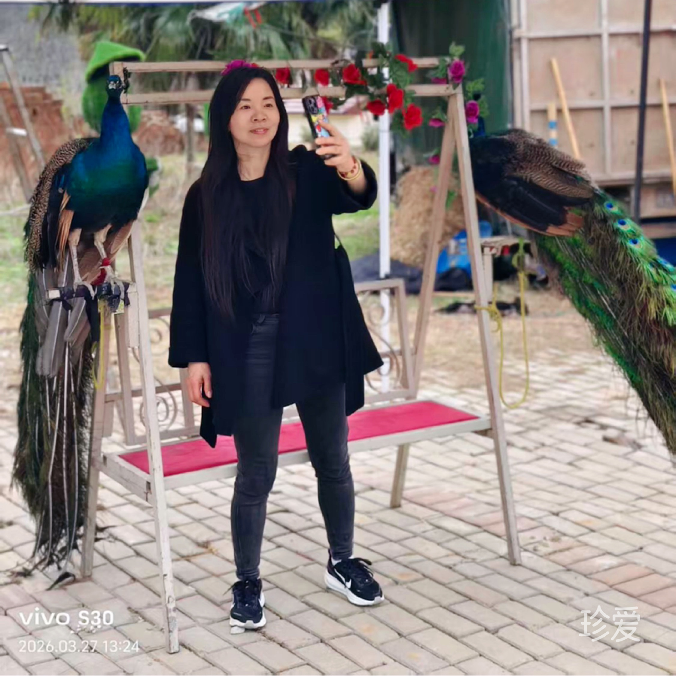 灿烂女人