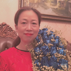 粉色玫瑰