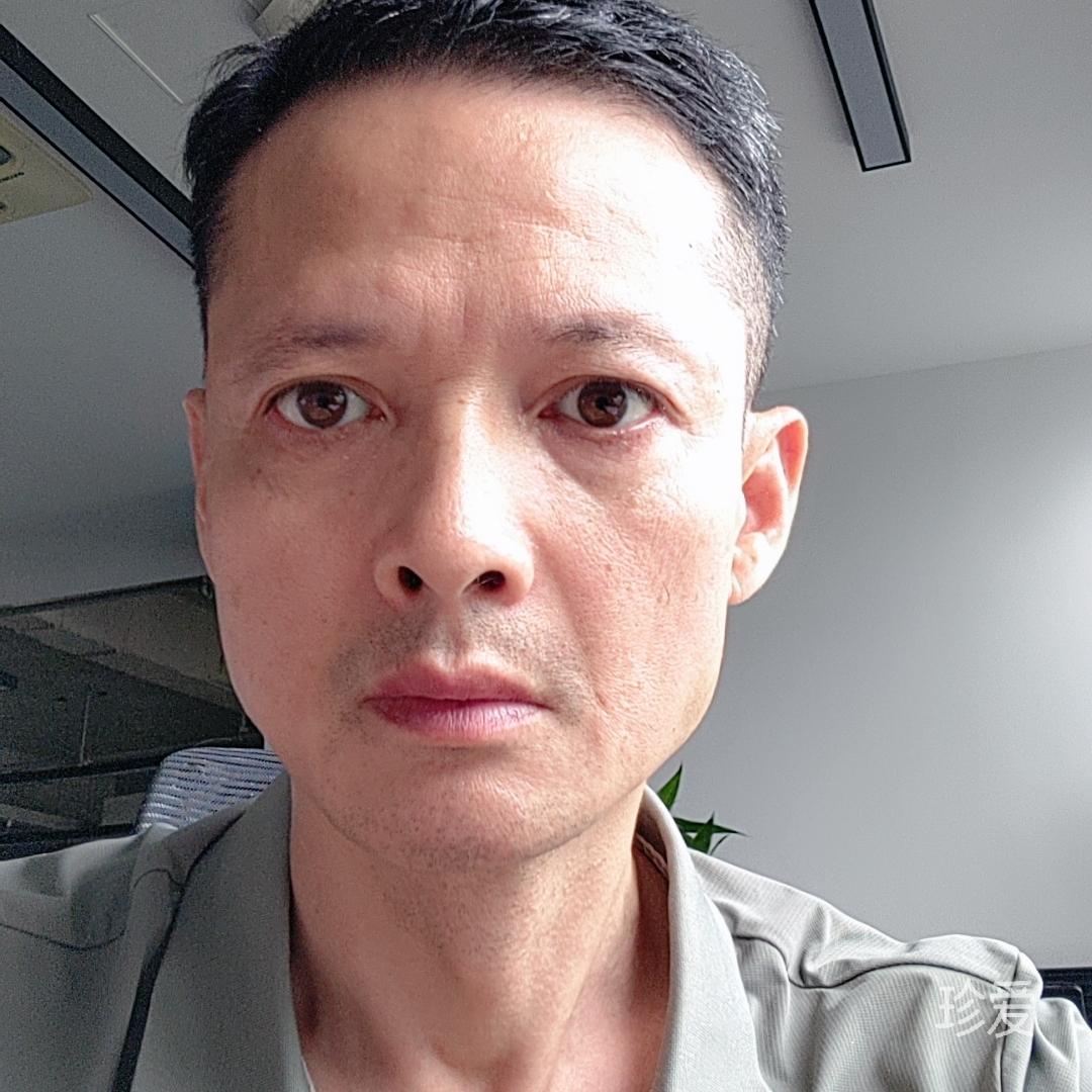 太阳照常升起