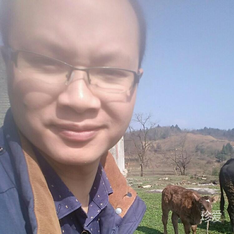 平平淡淡才是真