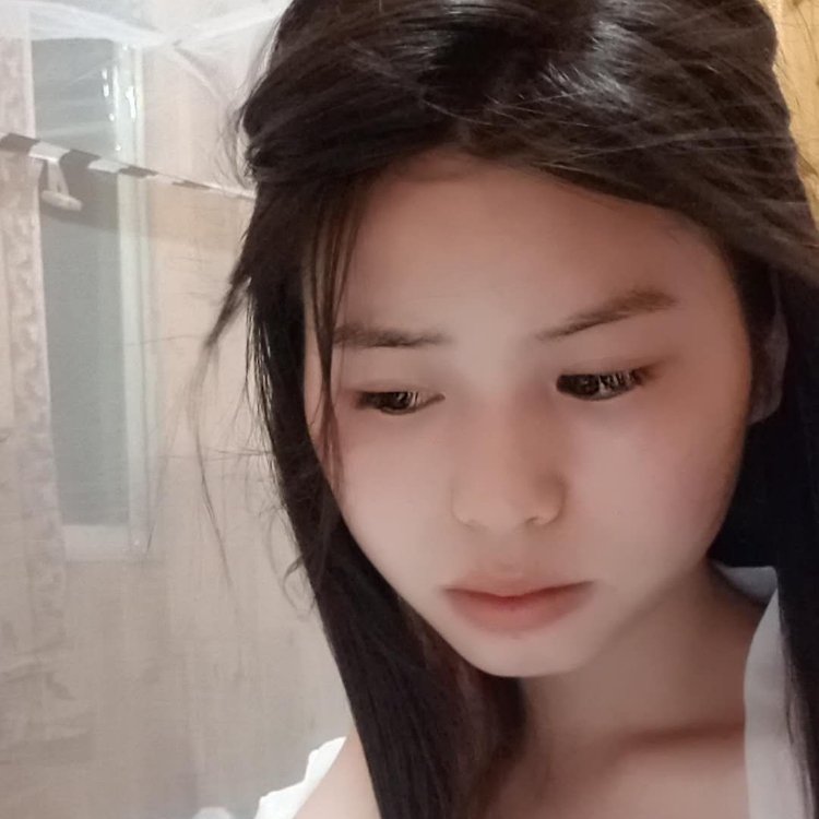 梧桐樹下的羽翼