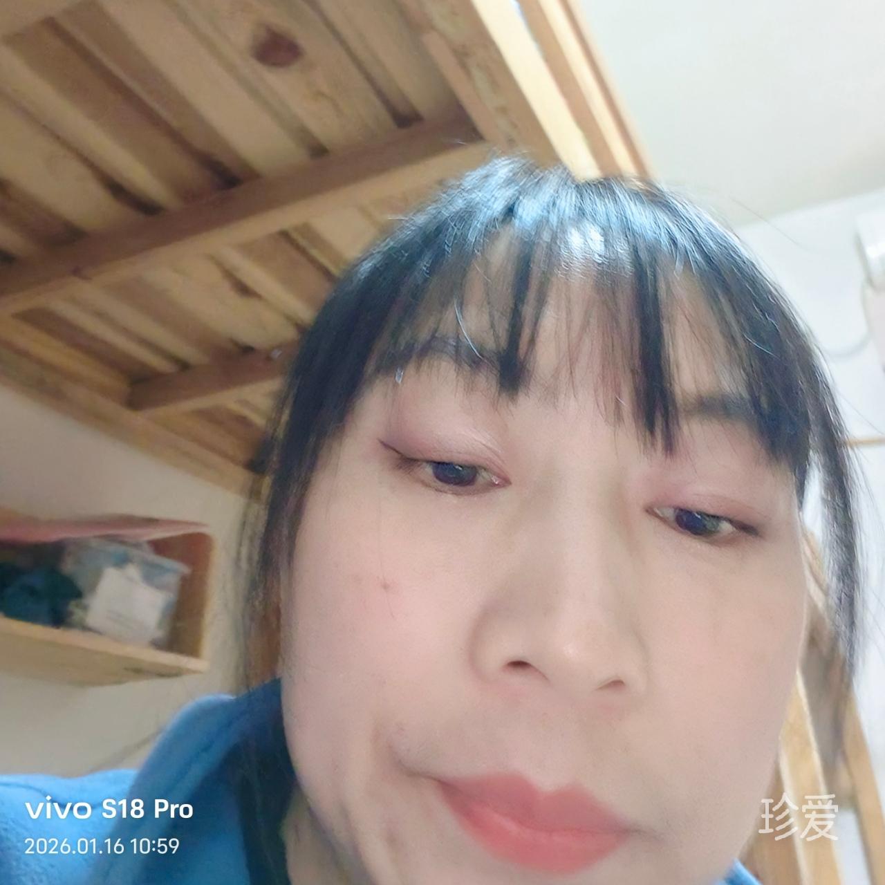 蜘蛛