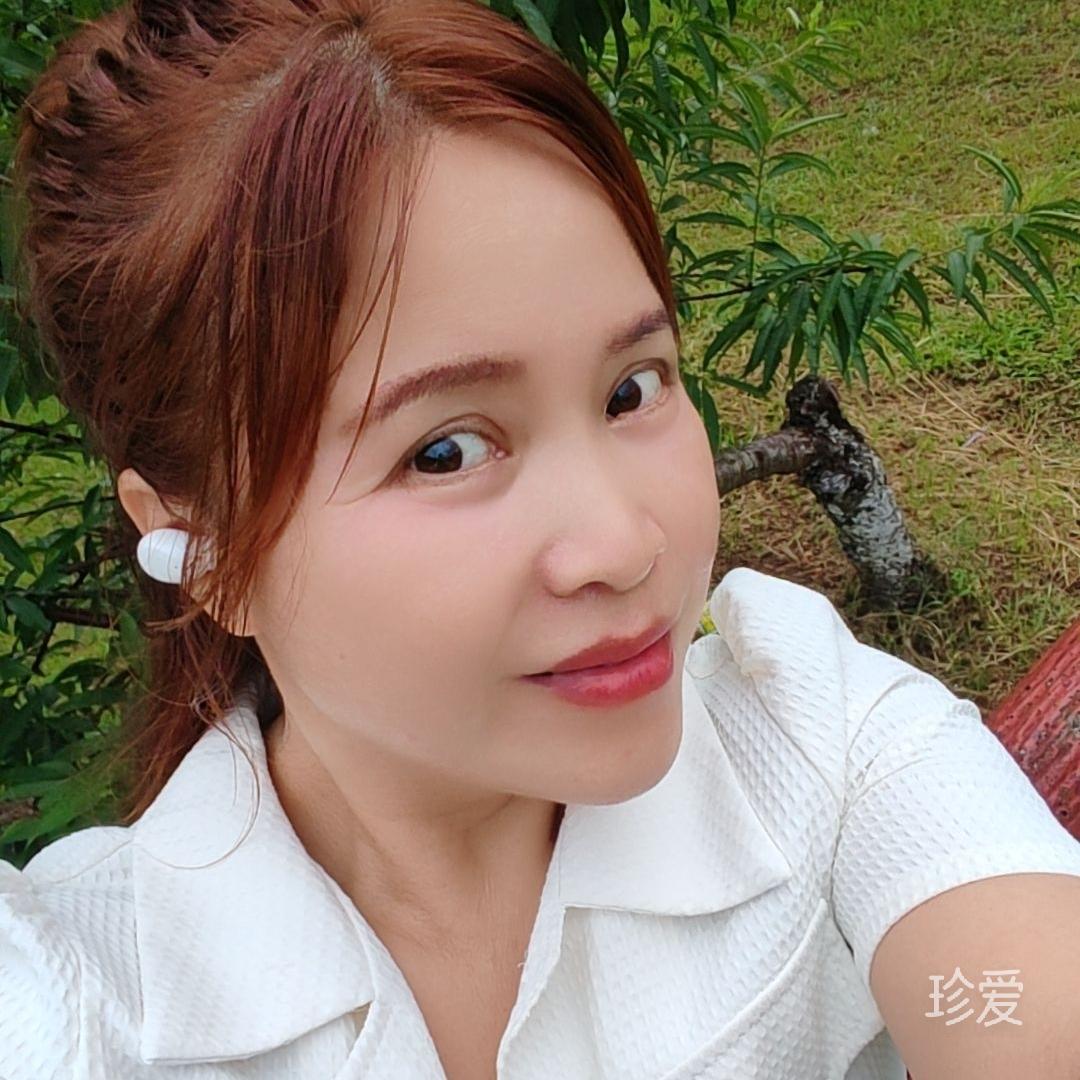 Fairy