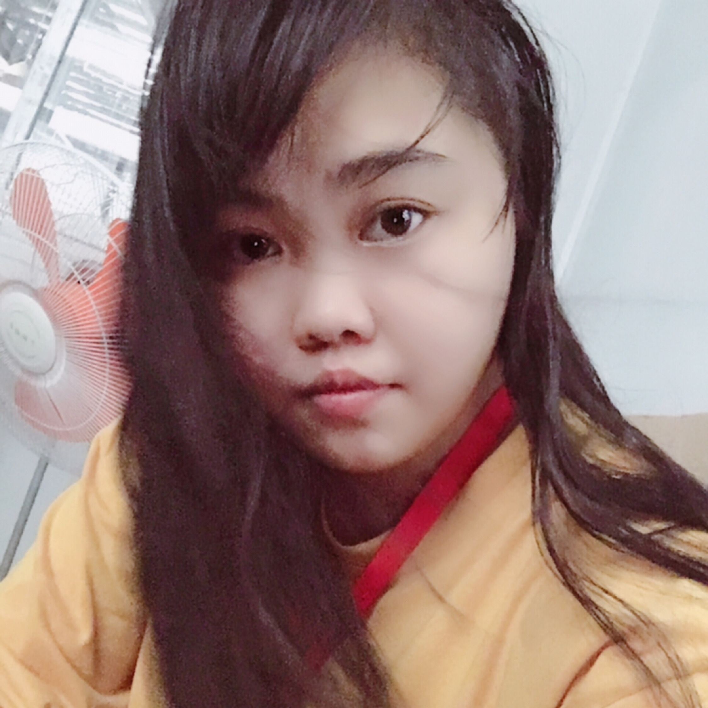 灰伯爵