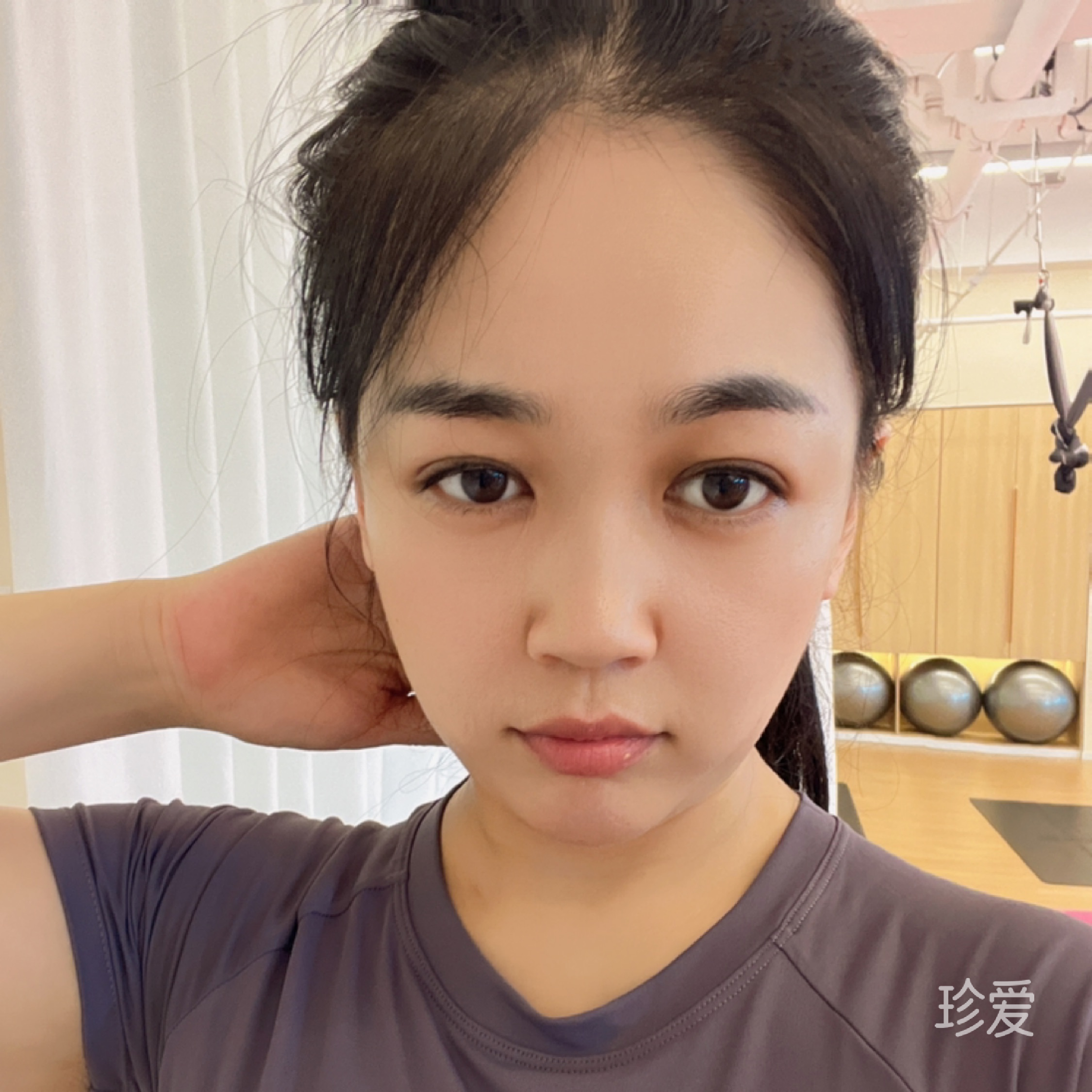树袋熊