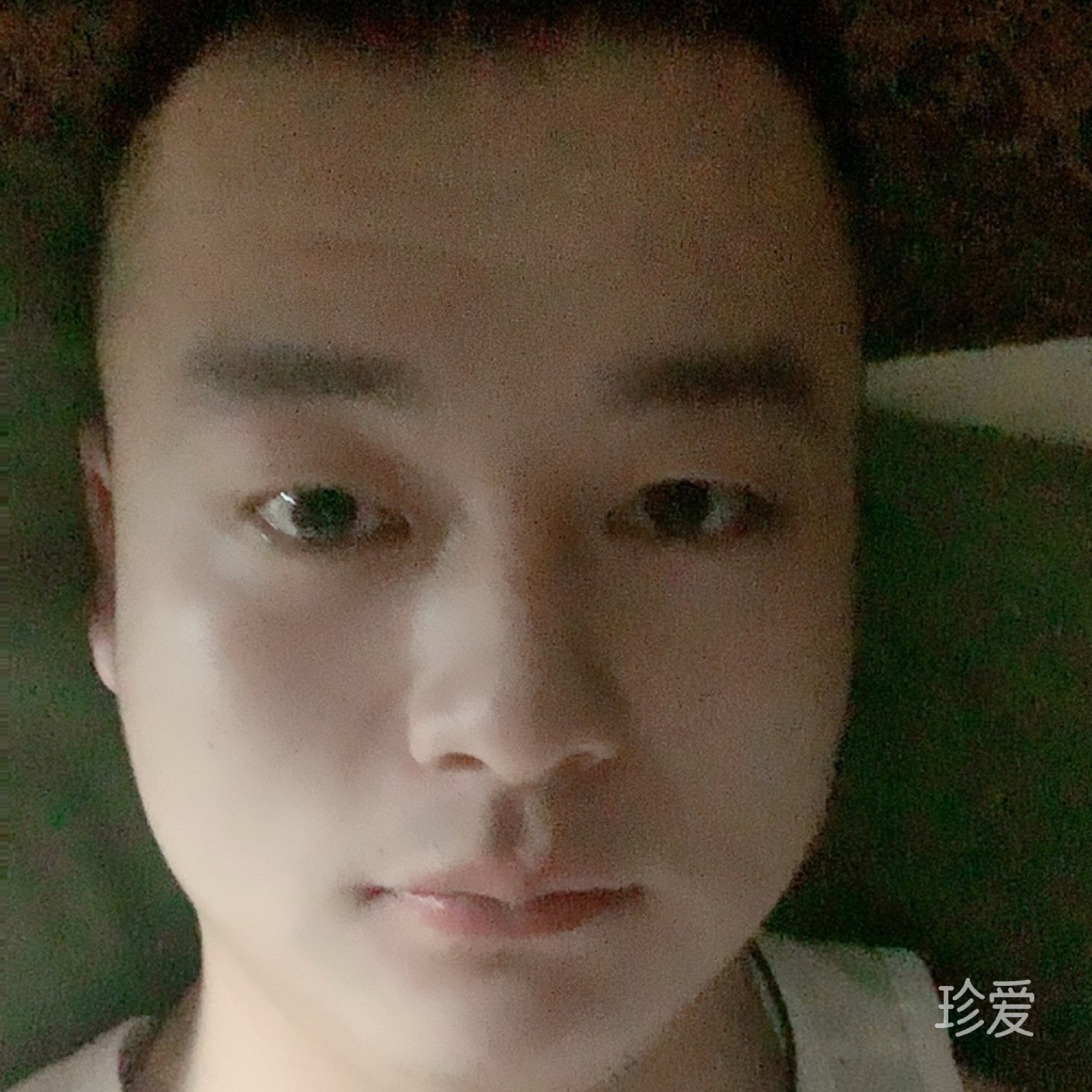 天枫