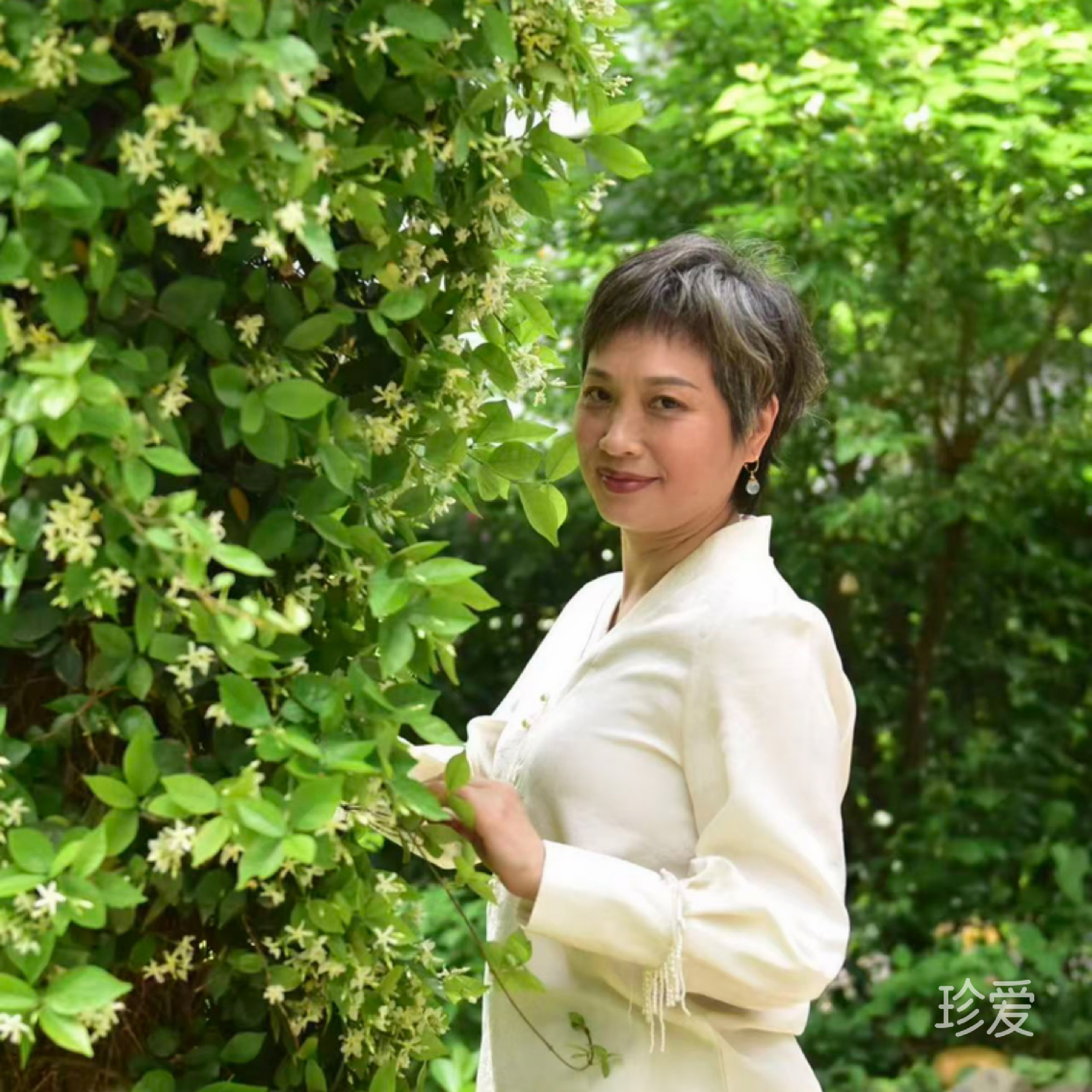 清风