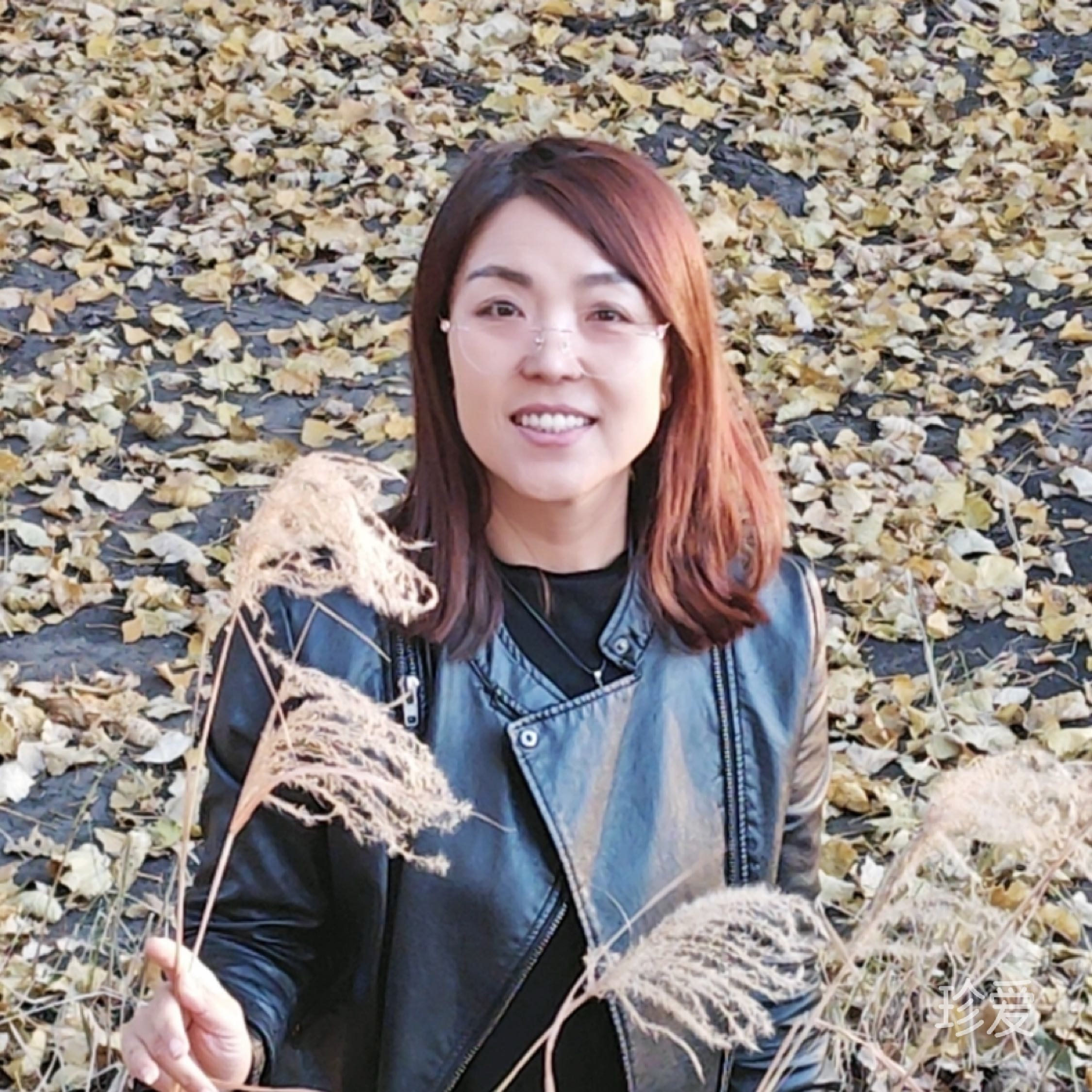 暗香盈袖