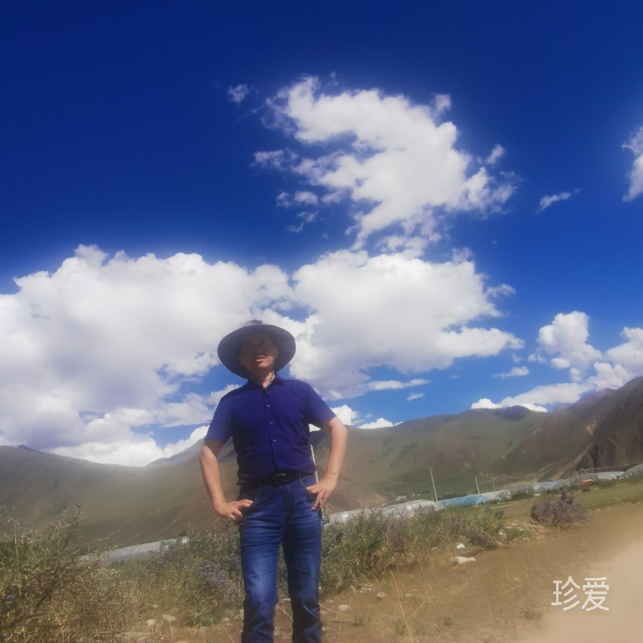 雨晴无阳
