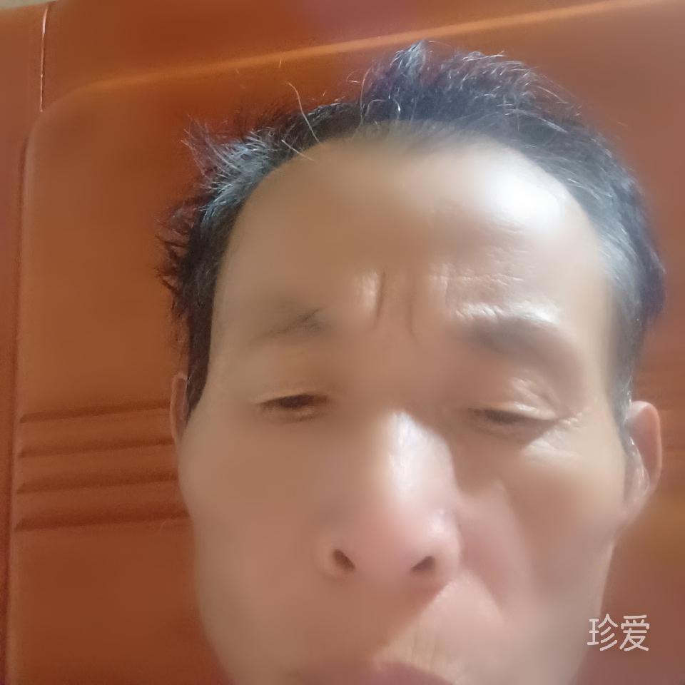 归途