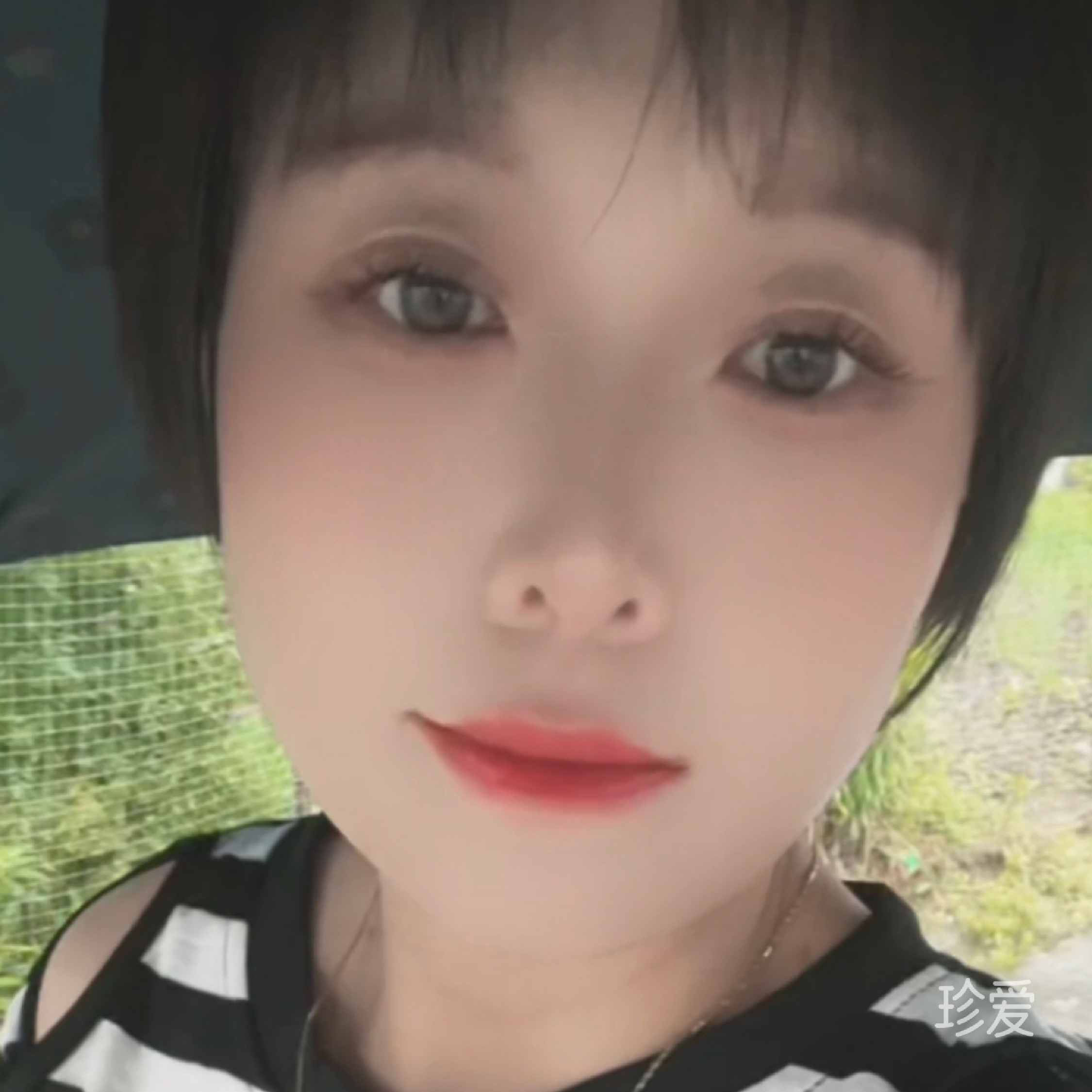 静看雪中人