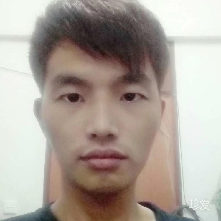 生命的万千可能