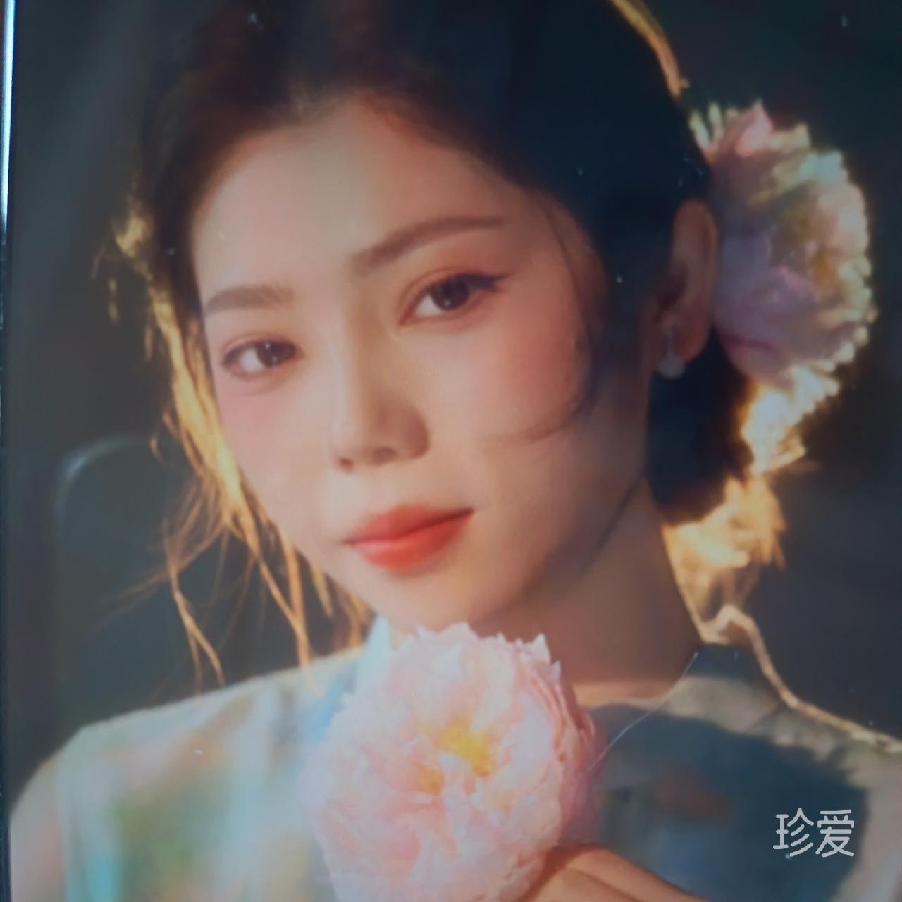 晓风燕语
