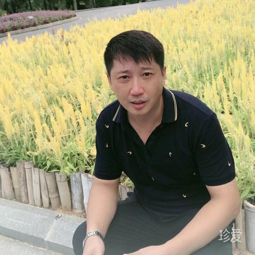 龙哥
