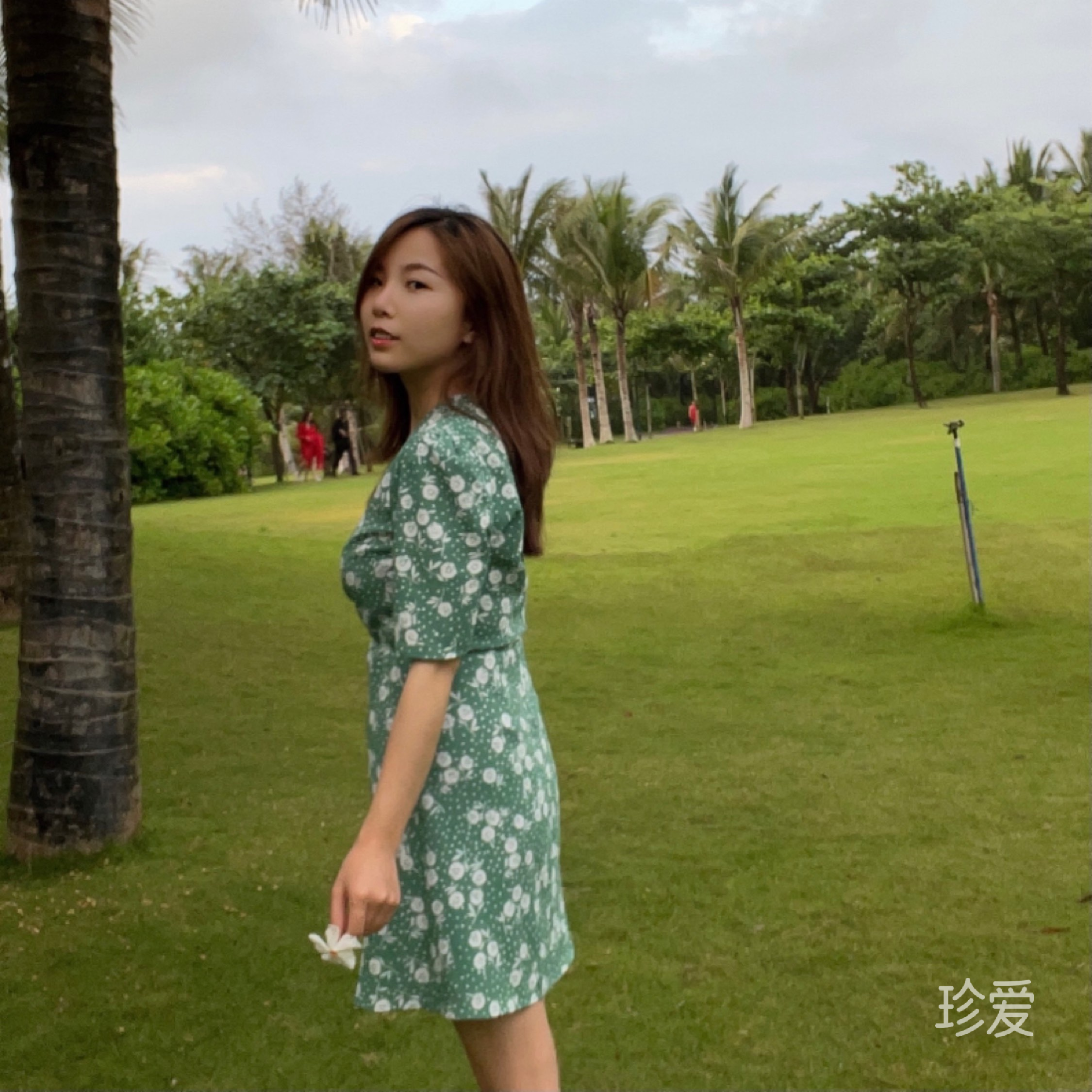 霧島風(fēng)起時