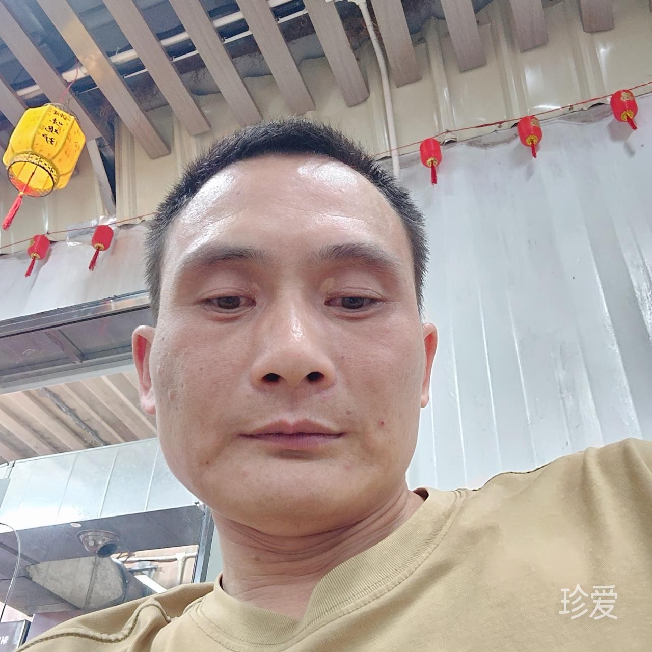 从你的世界路过