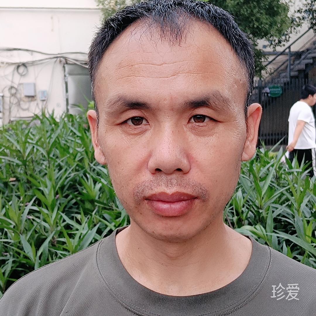 红尘醉