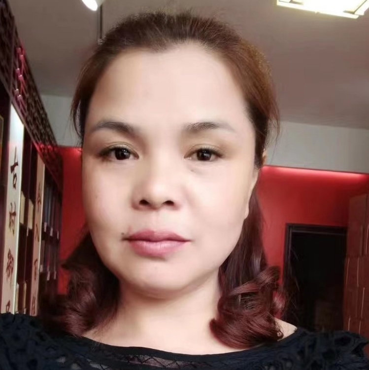 斷了翅膀的飛雁