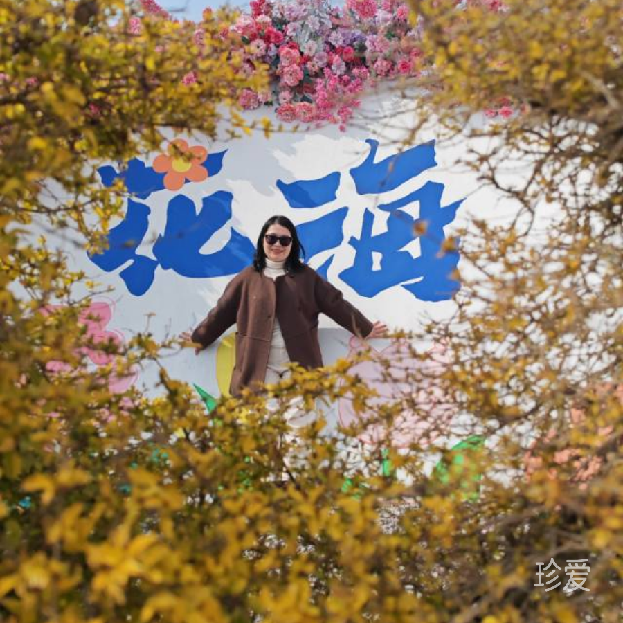 柿柿如意