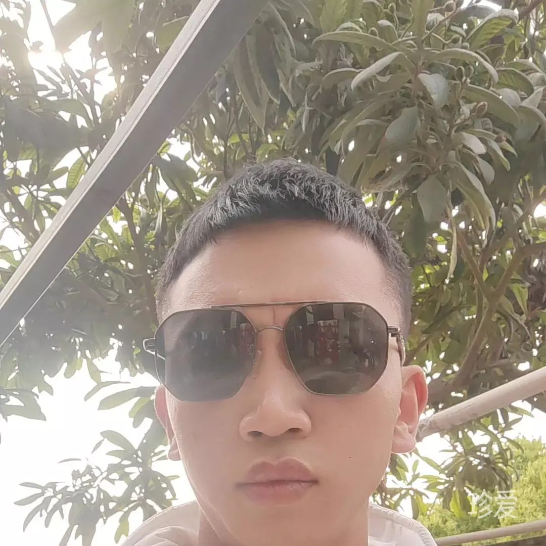 梦入天南
