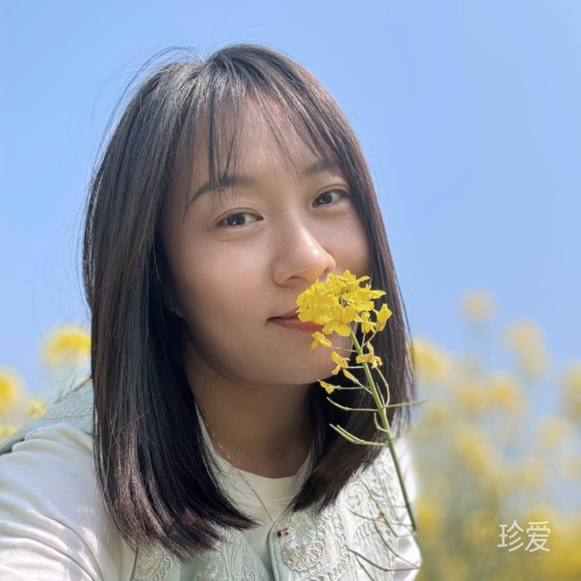 珊瑚虫
