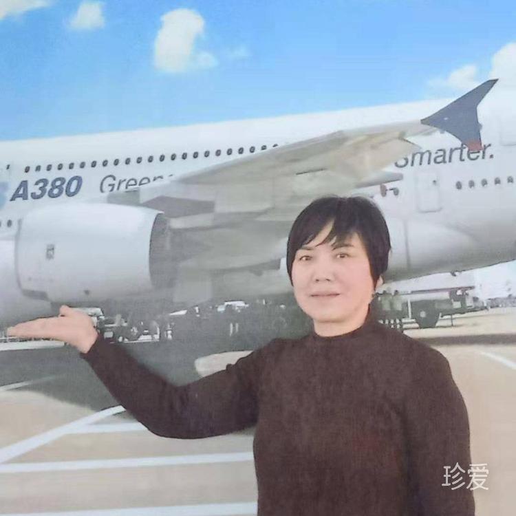 飛舞的風(fēng)兒