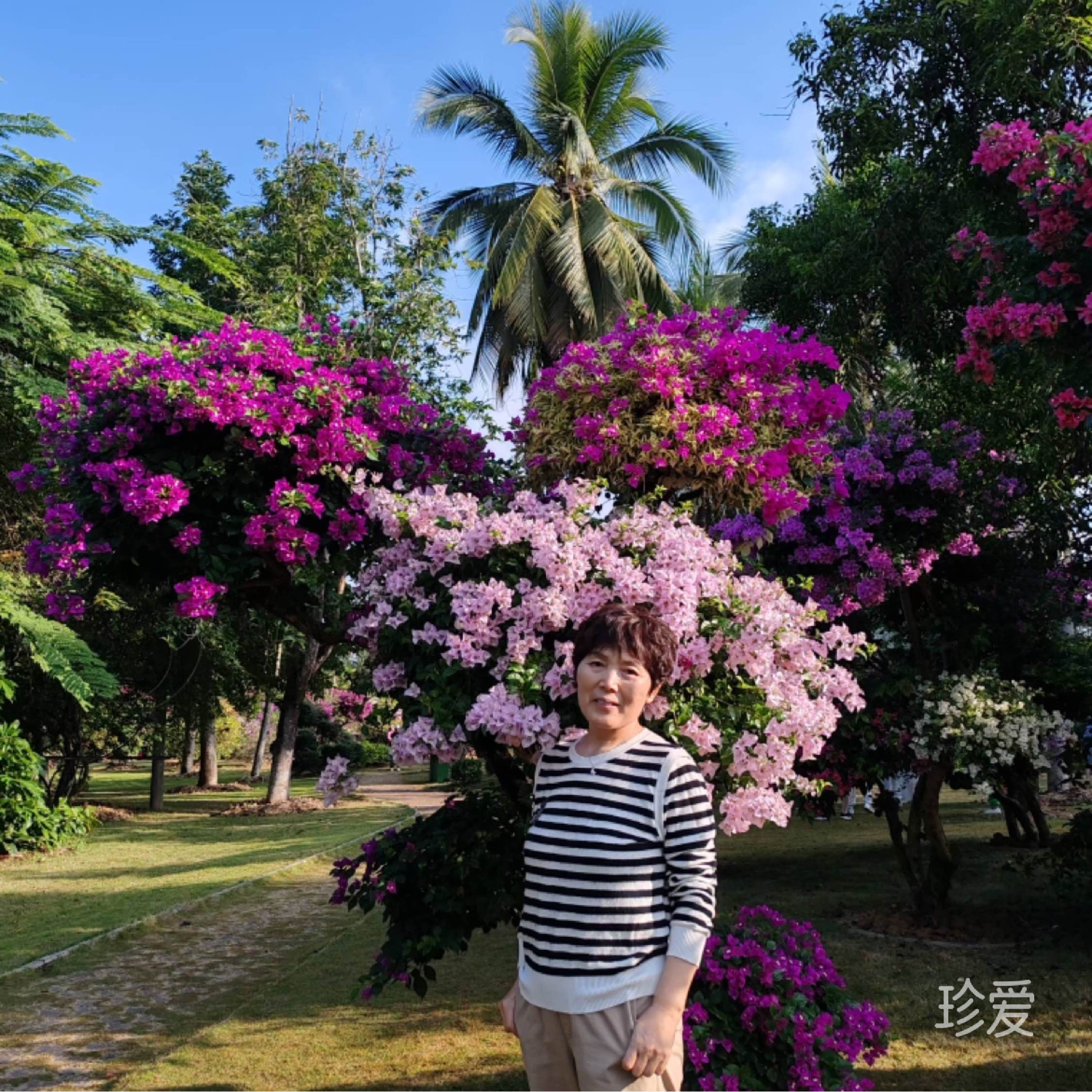 浮世萬千吾愛有三