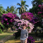 浮世萬千吾愛有三