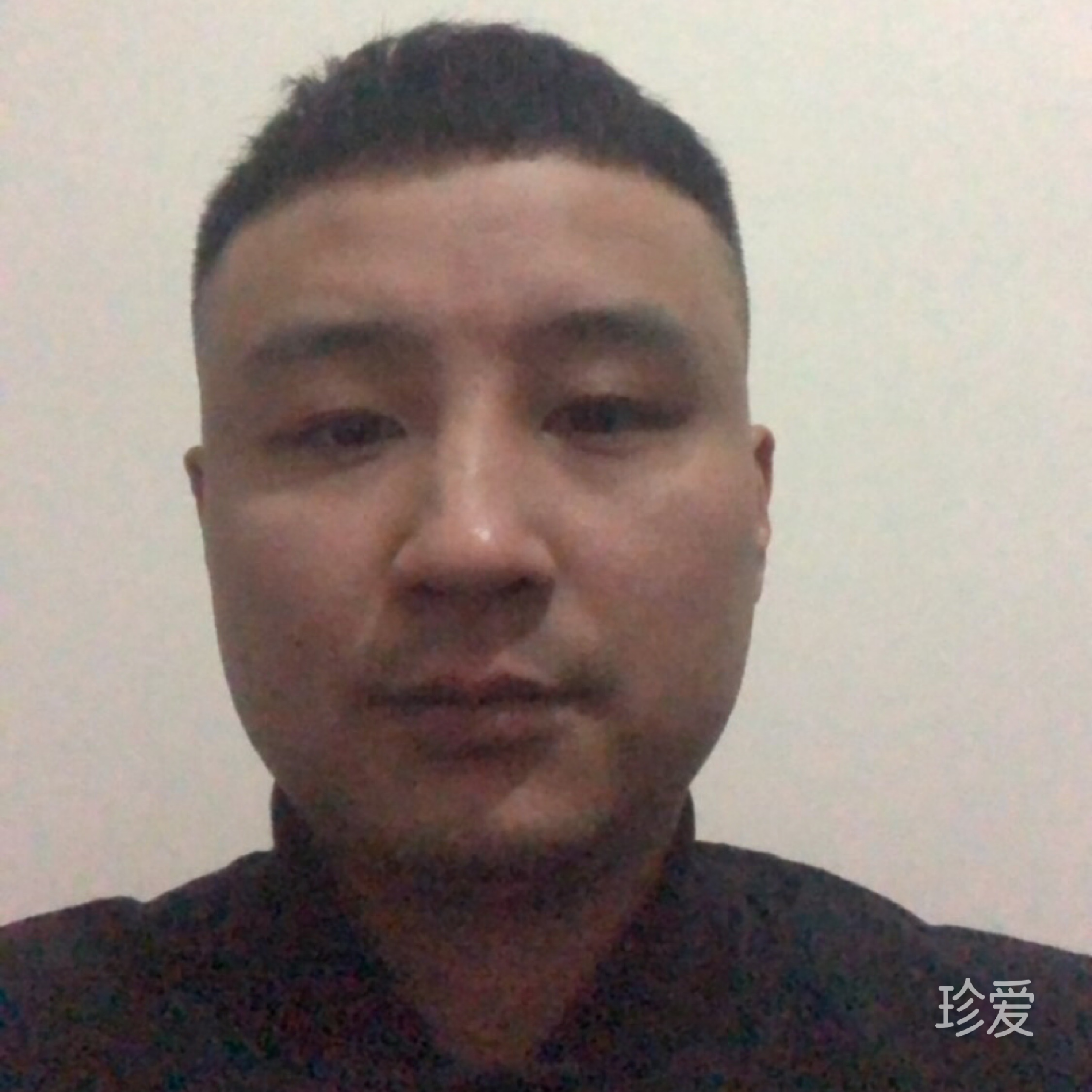 十年一剑
