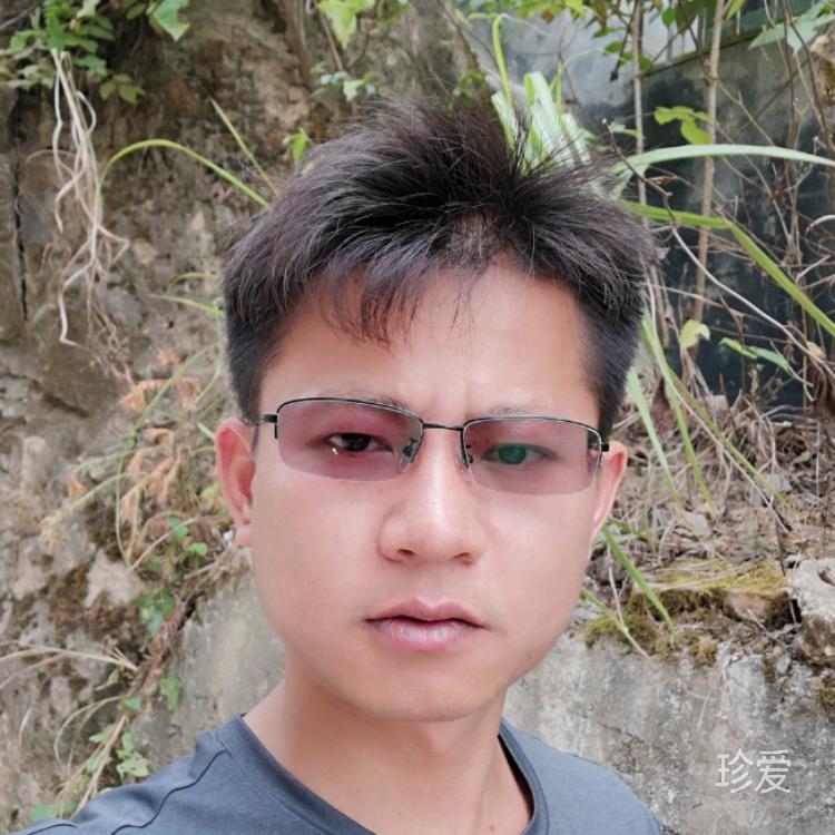 不許人間見白頭