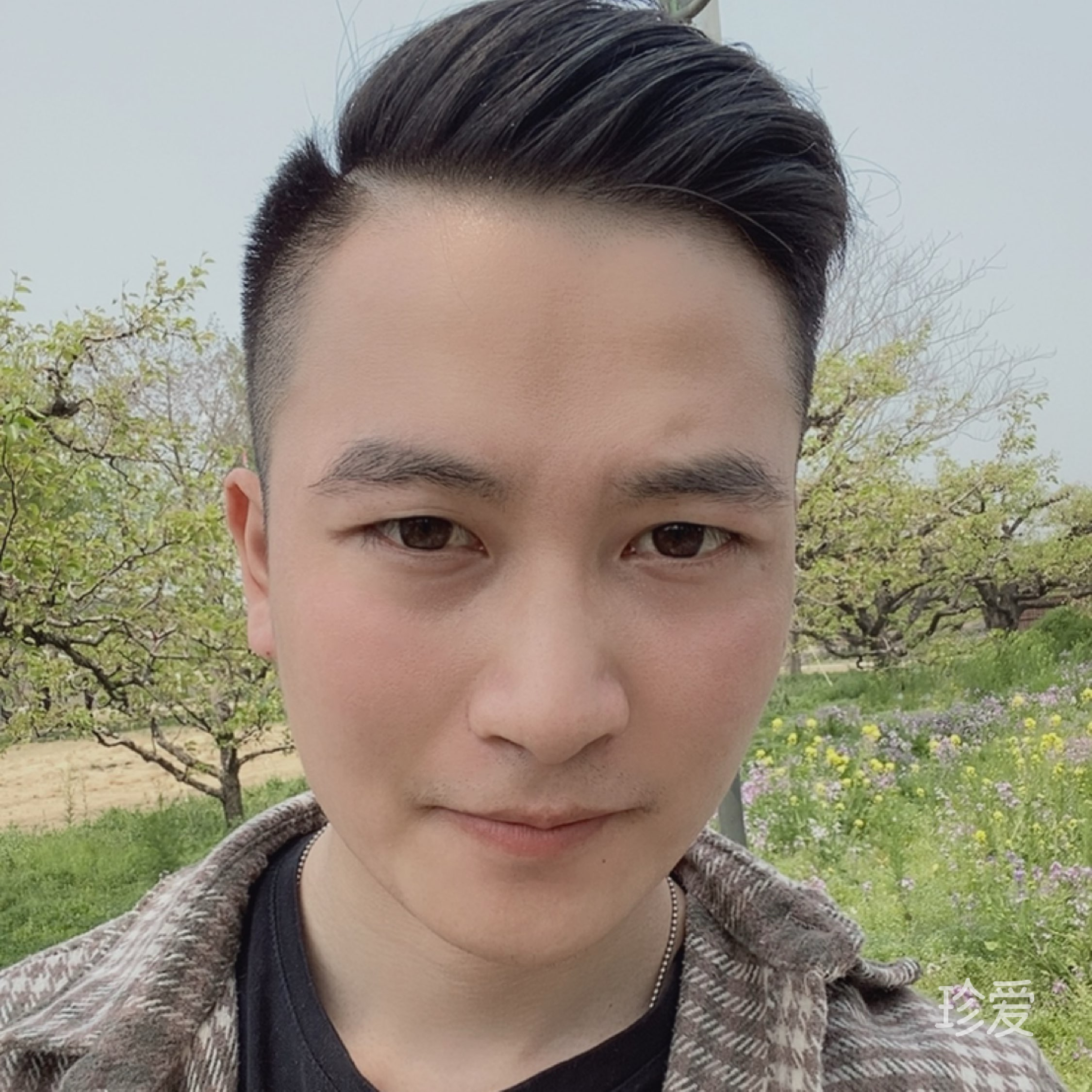 知更鸟丶