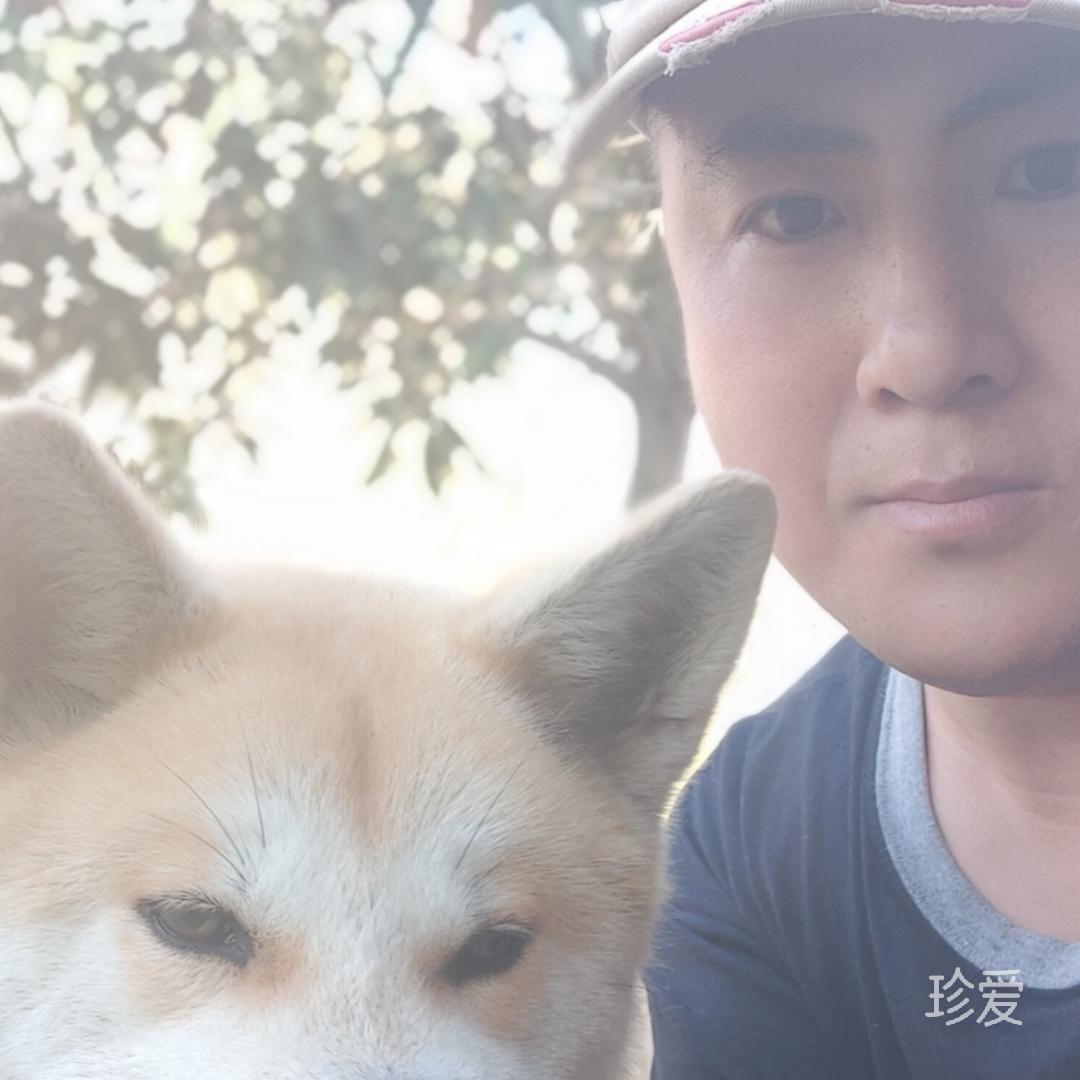 秋男