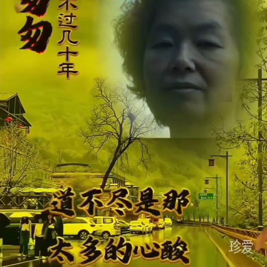 紫竹月莹