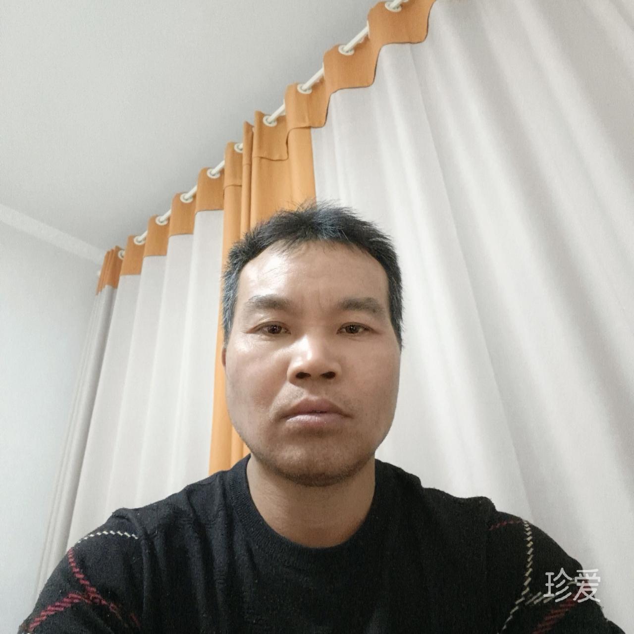真心巡半