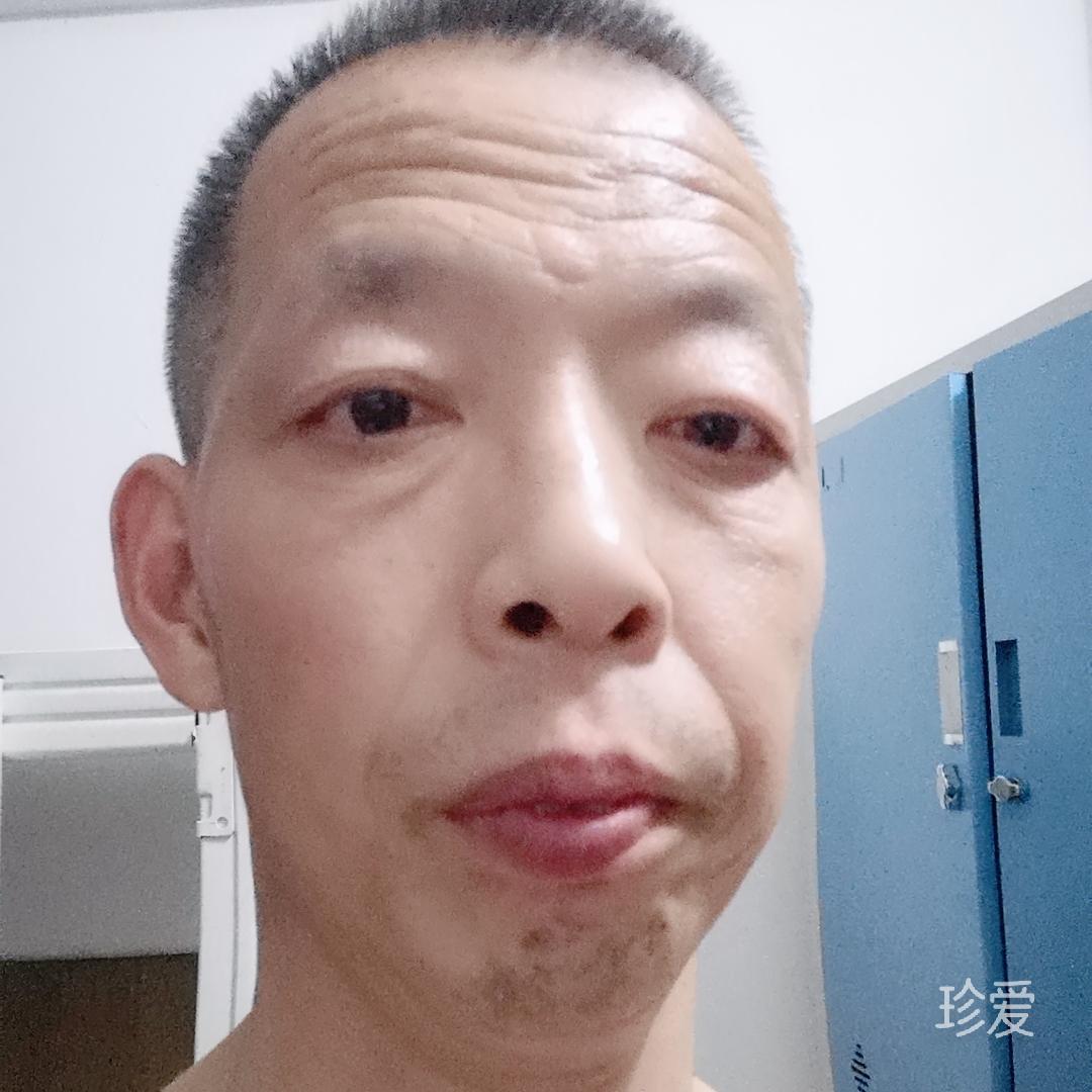 大漠胡杨