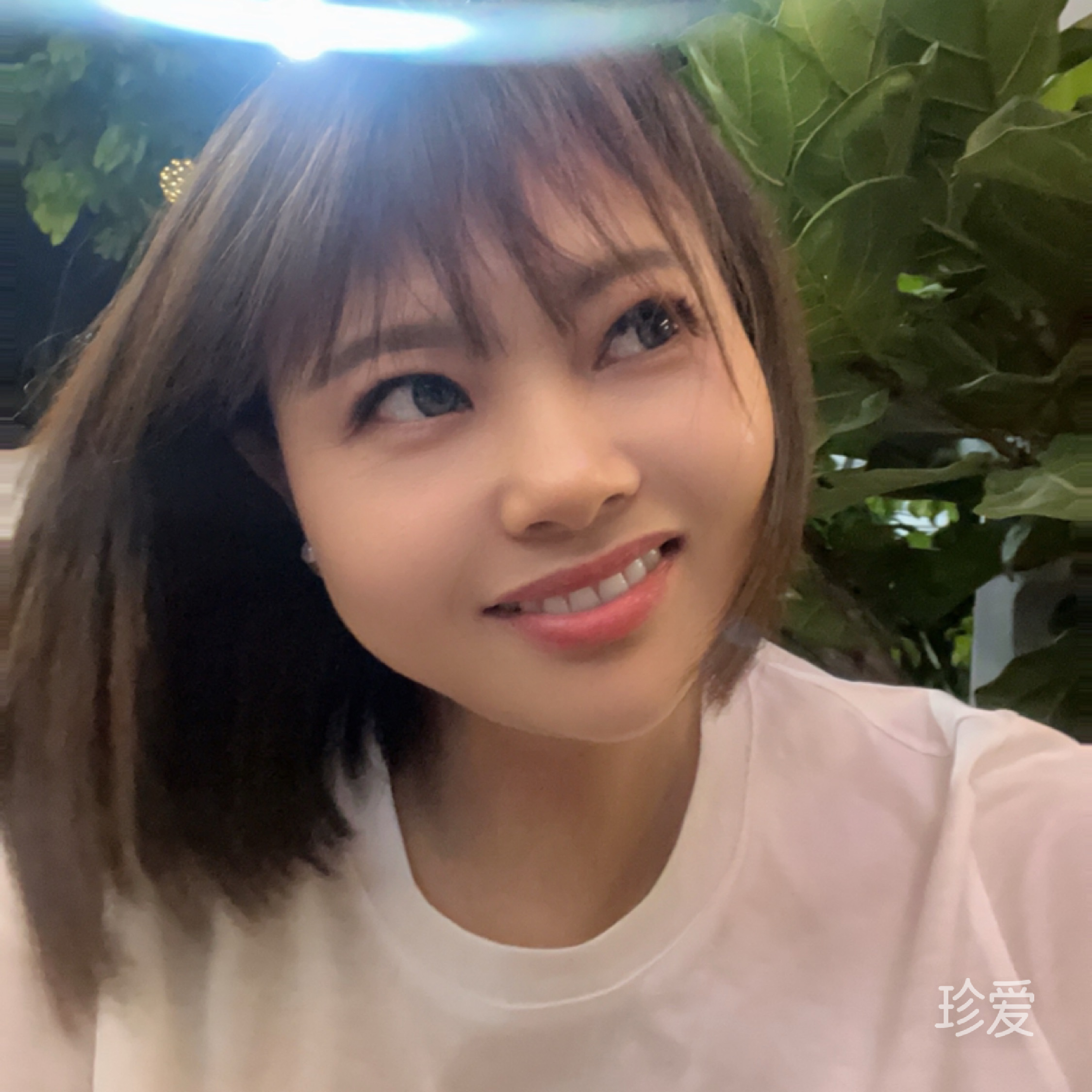 锦上添花