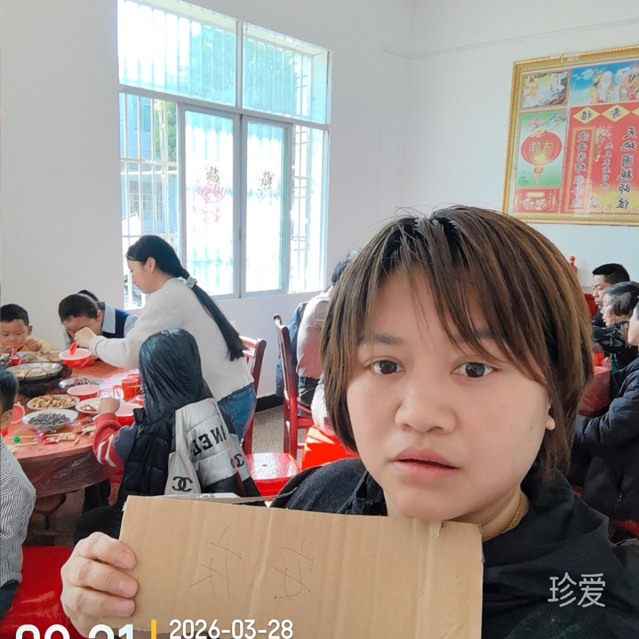 抚琴魅人心