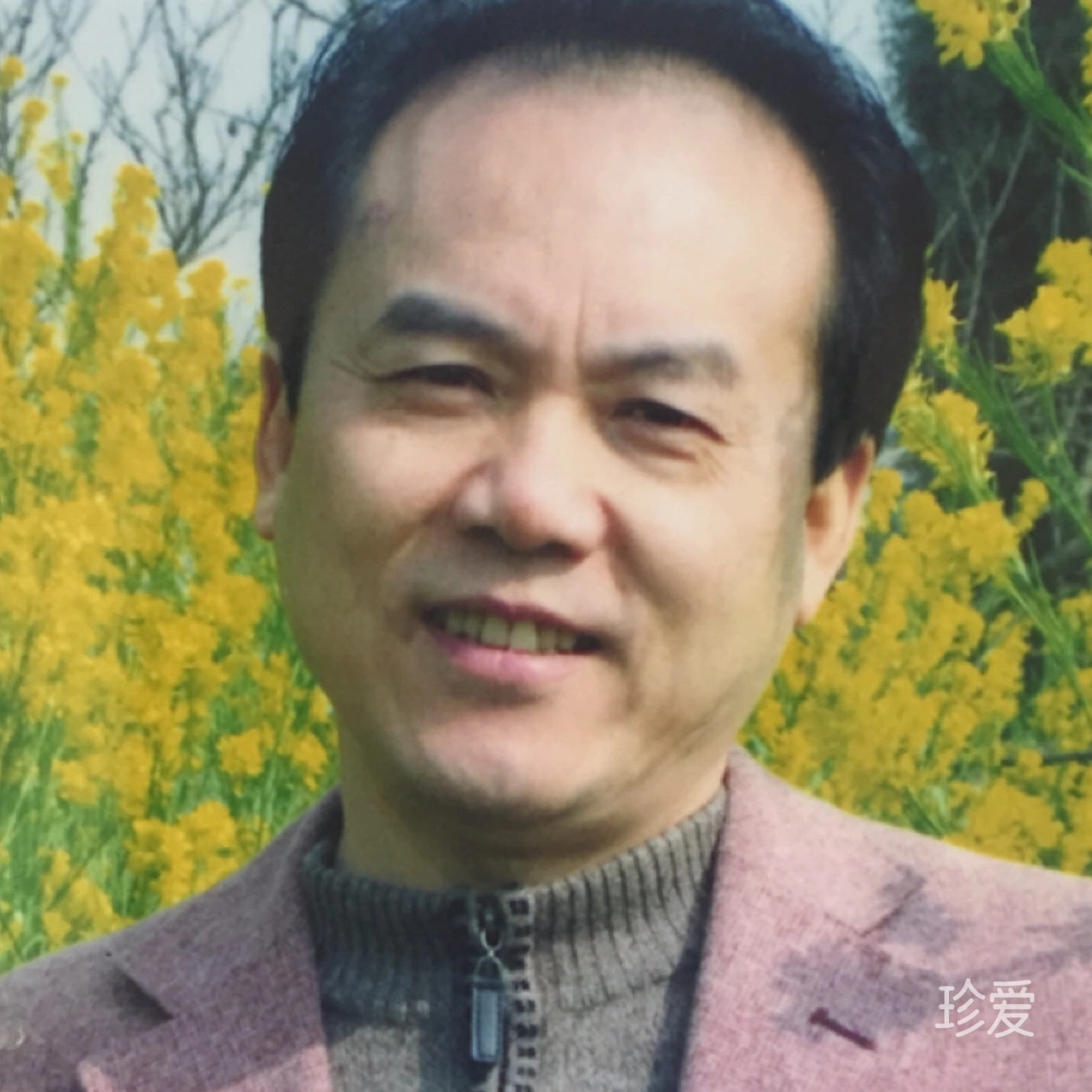 待到云开日出时